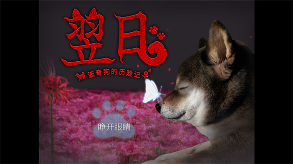 翌日波奇狗的历险记中文版