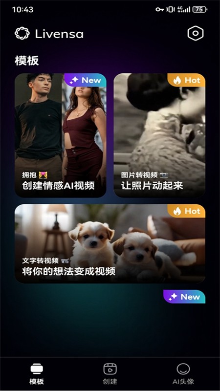 Livensa视频生成器