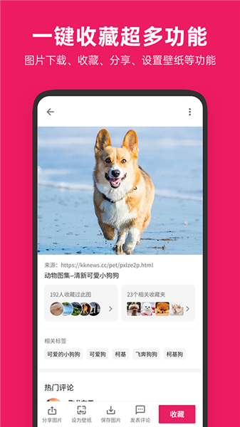 图片搜搜图库管家