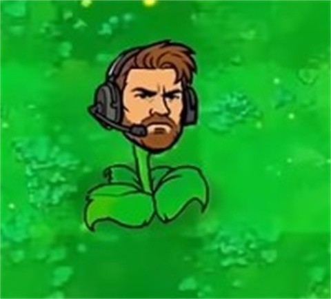 植物大战僵尸三角洲版