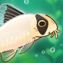 池趣养鱼小游戏