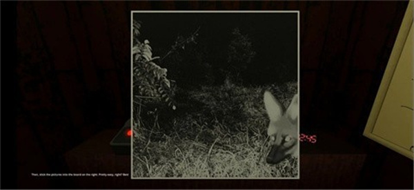 动物观察员恐怖游戏