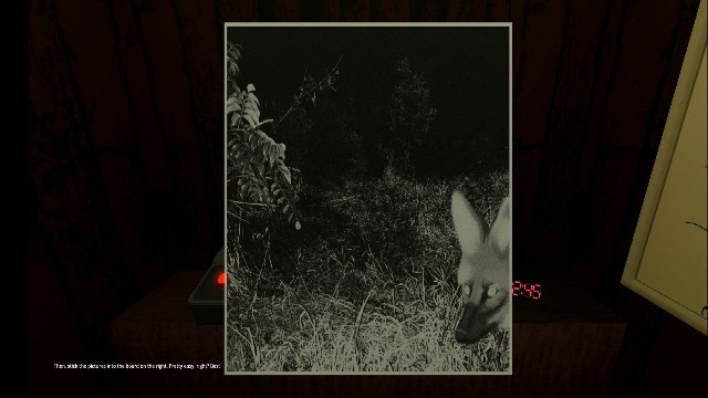 动物观察员恐怖游戏