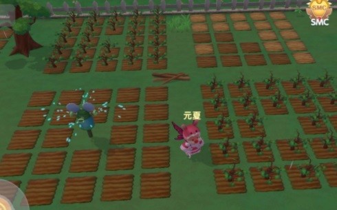 摩尔庄园夜间版