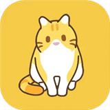 领养一只流浪猫