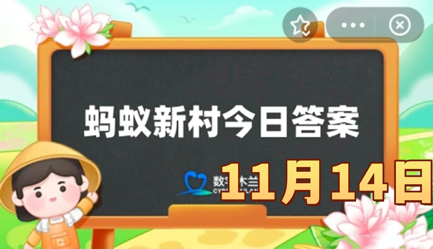 传统棋艺中的盲棋指的是盲人下棋吗-蚂蚁新村11月14日答案2025