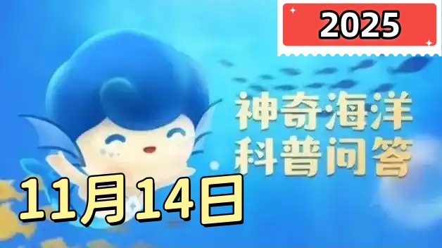 淡水中也有鲸类动物吗-神奇海洋11月14日答案最新2025