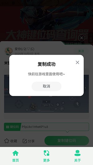 无畏键位助手