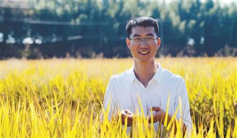 蚂蚁新村2025年12月01日答案：农村集体经济经理人主要负责什么工作?