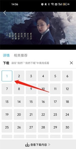 河马视频播放器