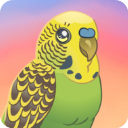 鸟类世界宠物养成