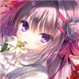 染成红色的真爱百合