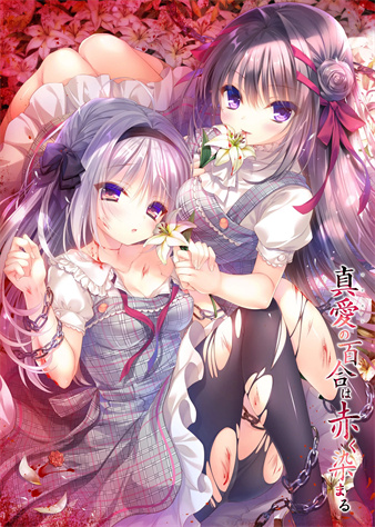 染成红色的真爱百合