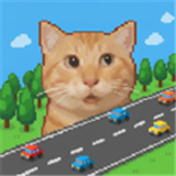 哈基米莫那没路躲