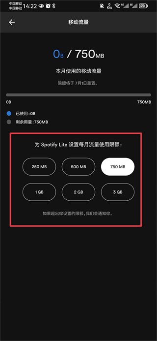 Spotify Lite