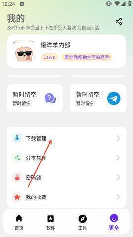 懒洋羊软件库新版