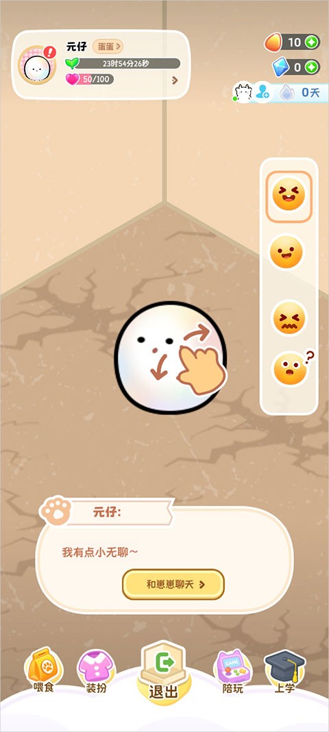 元仔养宠