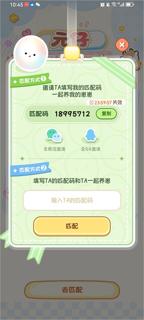 元仔养宠