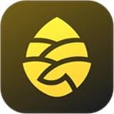 松果出行共享电动车