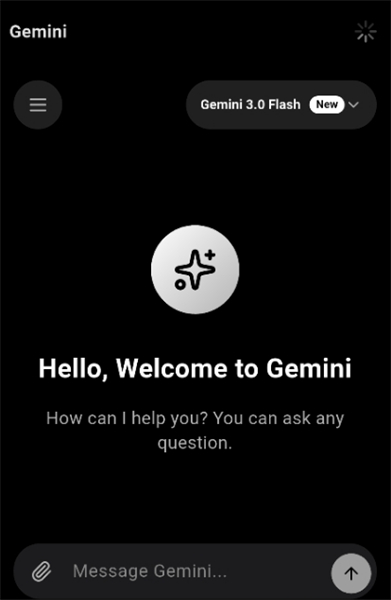 Gemini3.0手机端