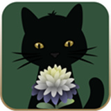 奇异园艺完整版