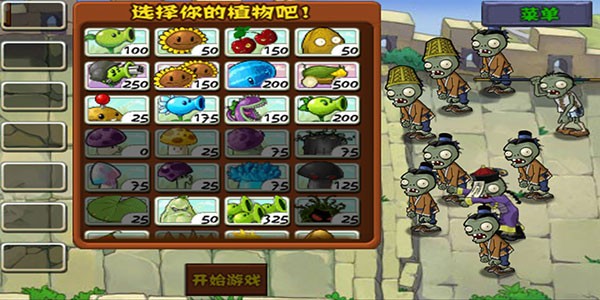 宝开植物大战僵尸长城版