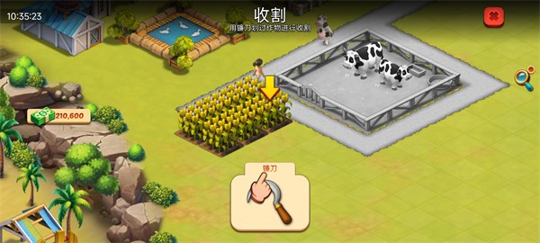 动物农场生活模拟器