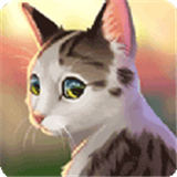 猫咪救援故事