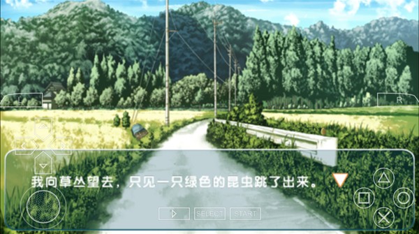 缘之空galgame