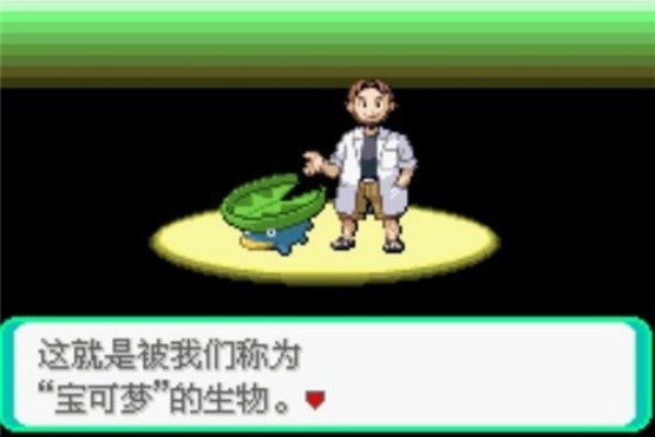 口袋妖怪漆黑的魅影5.0汉化版