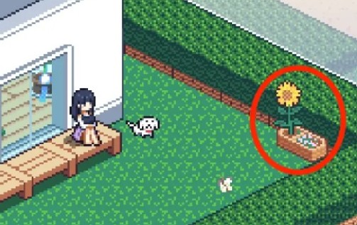 寻找夏日的宝物移植版