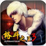 格斗之王3单机版
