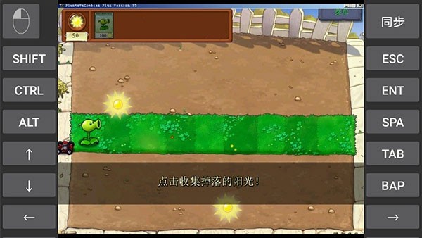 植物大战僵尸九五版