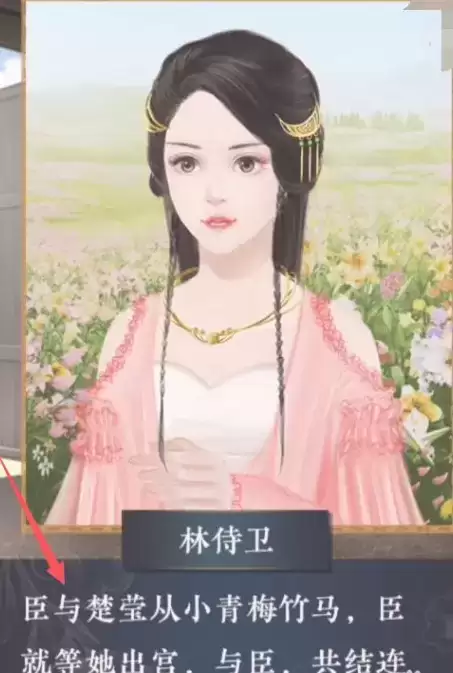 后妃一小时