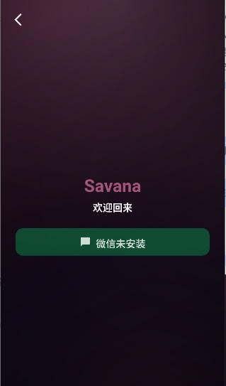 SavanaAI聊天