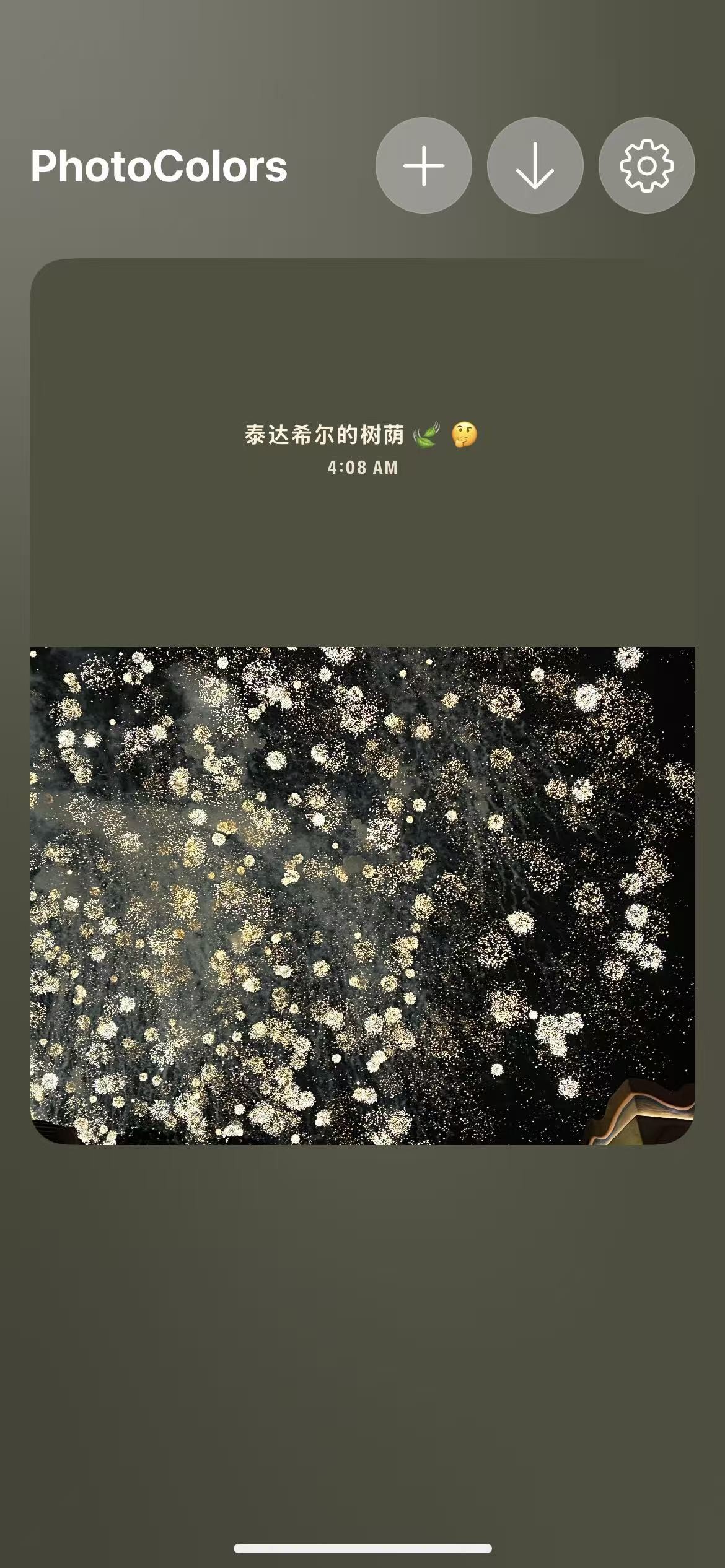 PhotoColors多彩图片