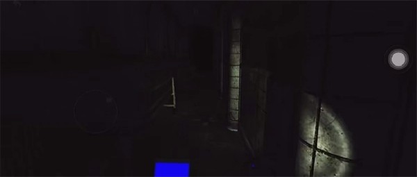 ThePhenomenon联机版