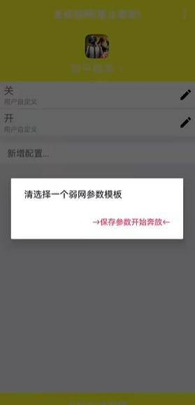 金砖弱网(禁止倒卖)
