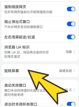 波波浏览器黑色版