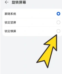 波波浏览器黑色版