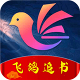 飞鸽追书