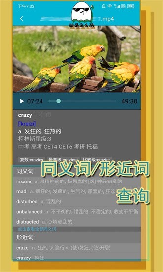 单词播放器aipie说明图1