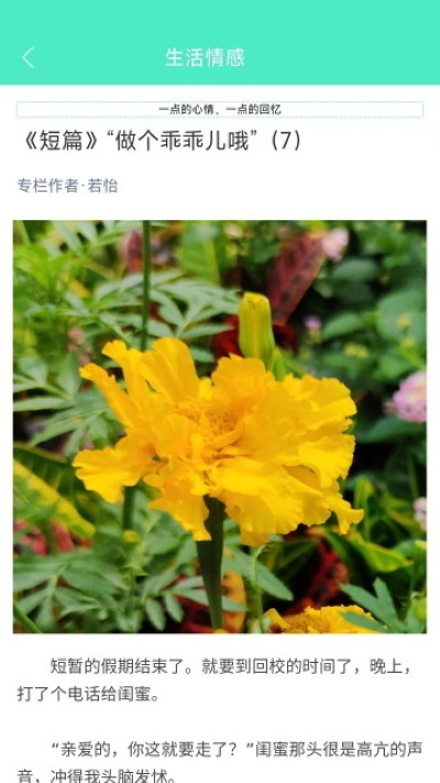天天日历老黄历截图2