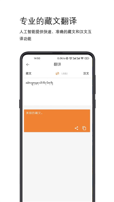 简藏汉智能翻译app截图4