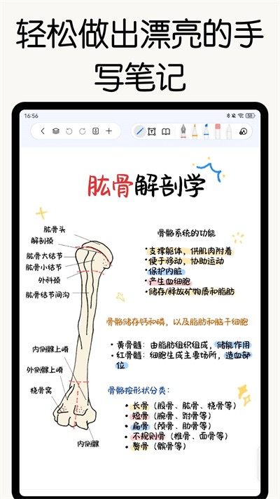 自由笔记手机版截图2