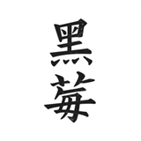 黑莓浏览器新版本